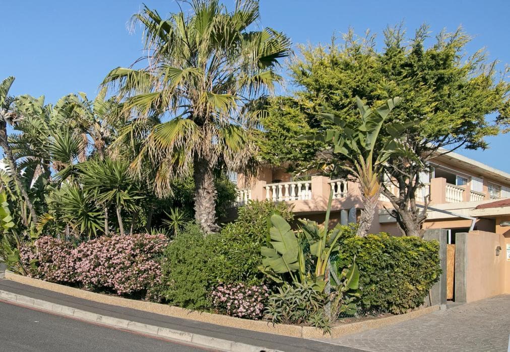 All Surfers Dream Villa