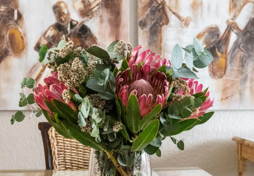 Avemore Vredehof No 2