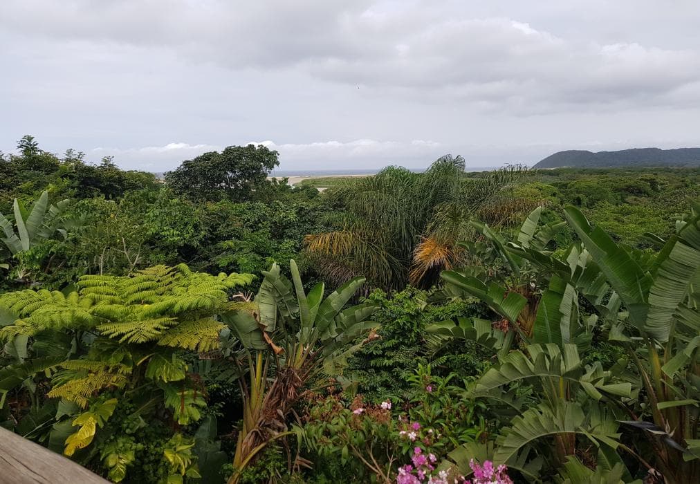 Ndiza Lodge and Cabanas