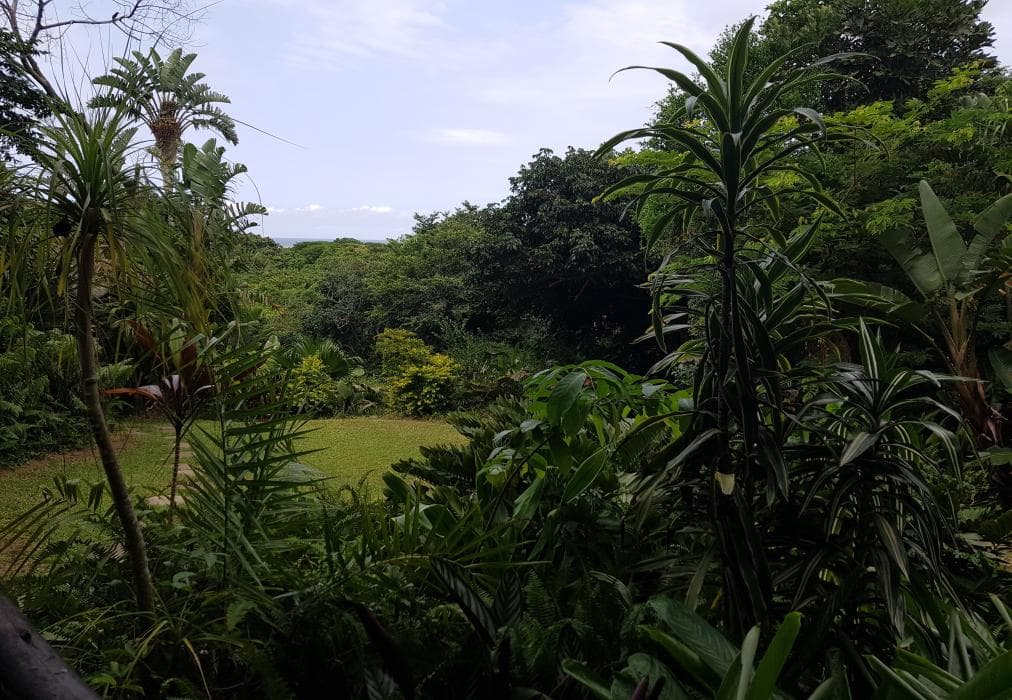 Ndiza Lodge and Cabanas