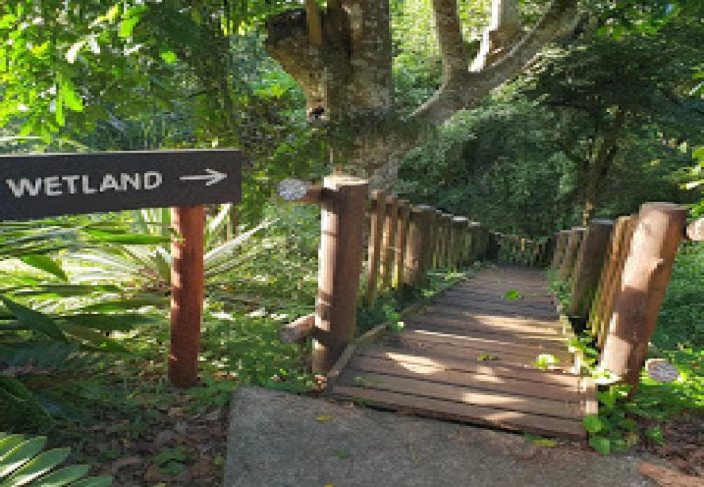 Ndiza Lodge and Cabanas