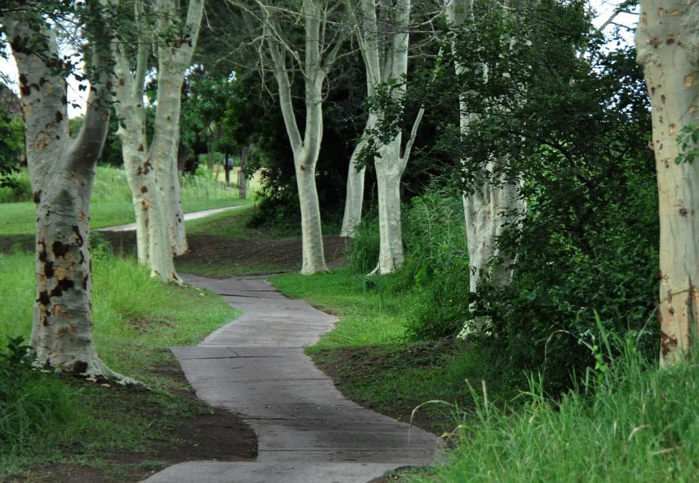 Kruger Park Lodge Unit No. 543