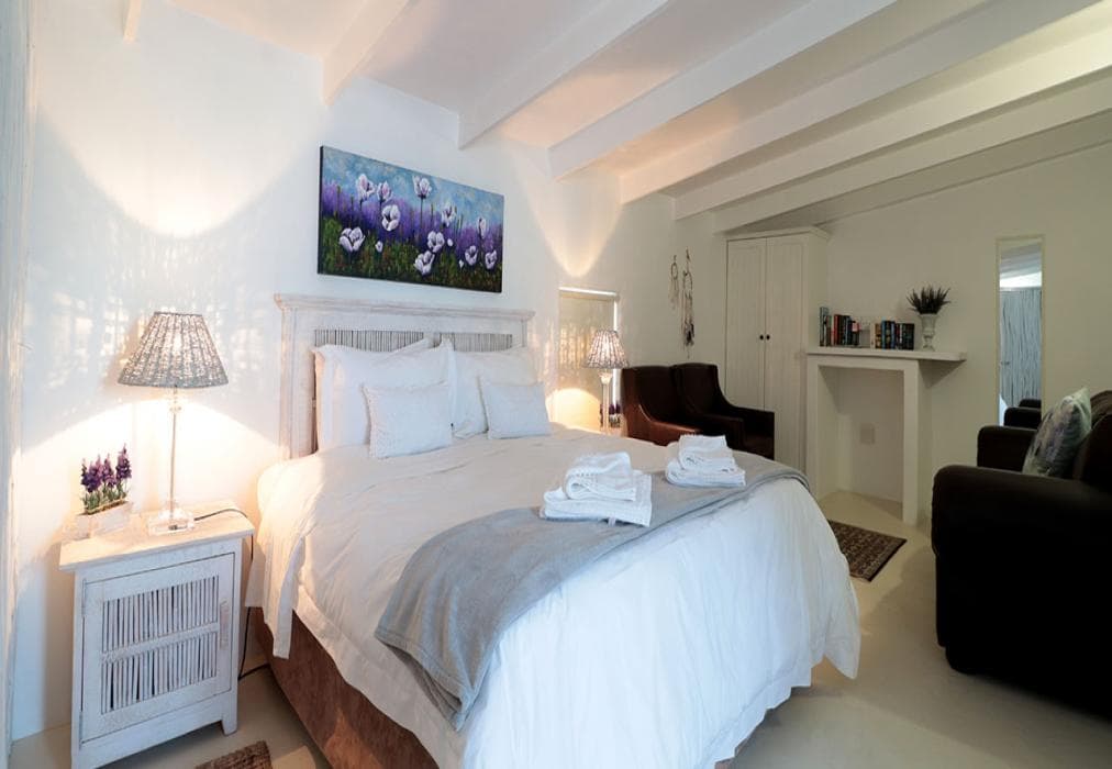 Dreamcatcher Lavender