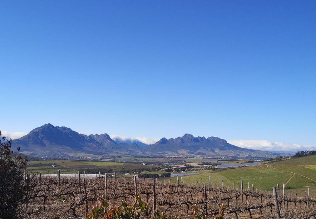 Fransmanshuijs - Luxury Farmhouse