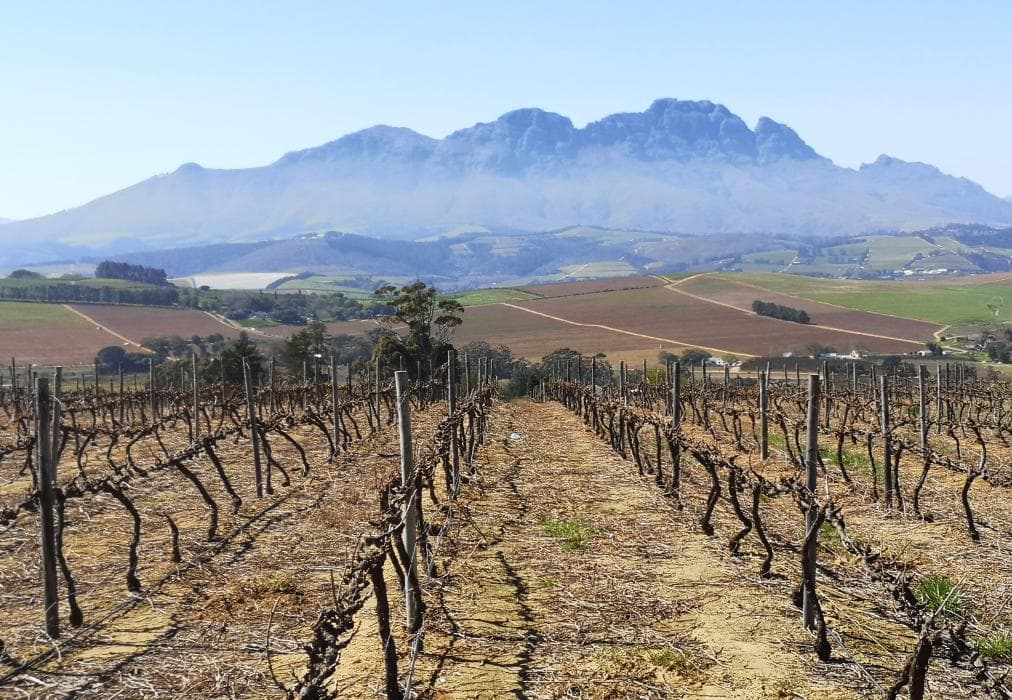 Fransmanshuijs - Luxury Farmhouse