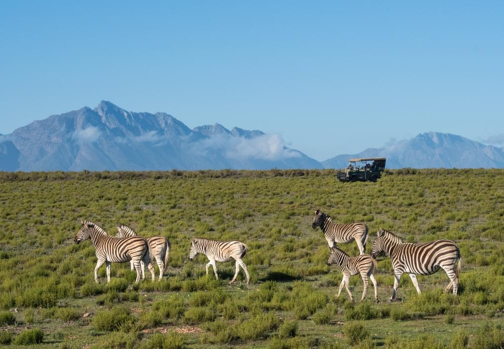 Melozhori Private Game Reserve Cottage