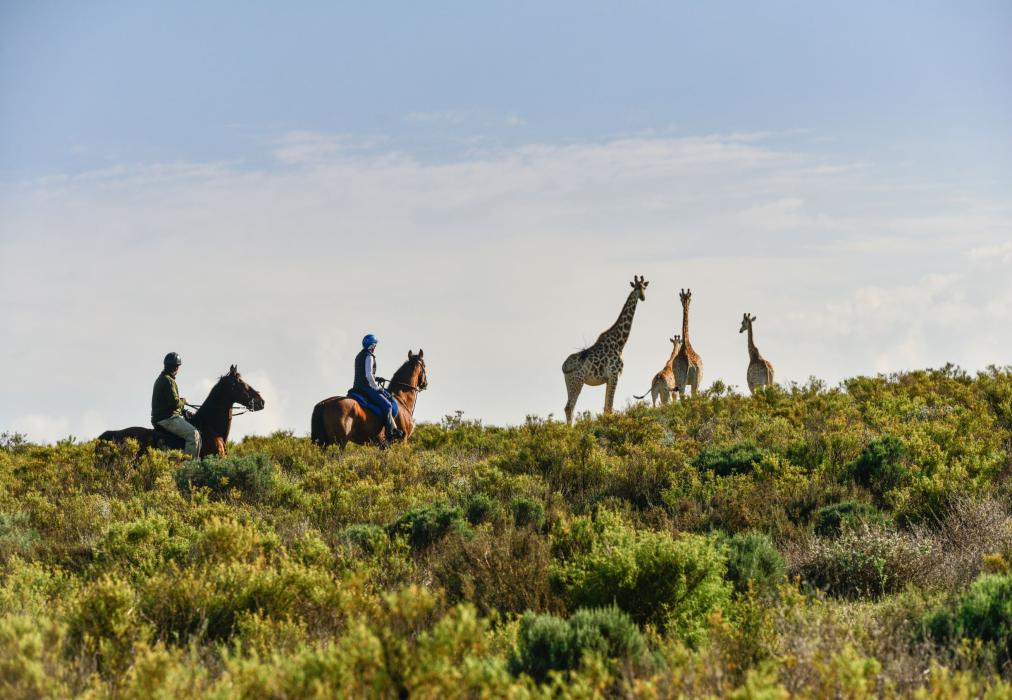 Melozhori Private Game Reserve Cottage