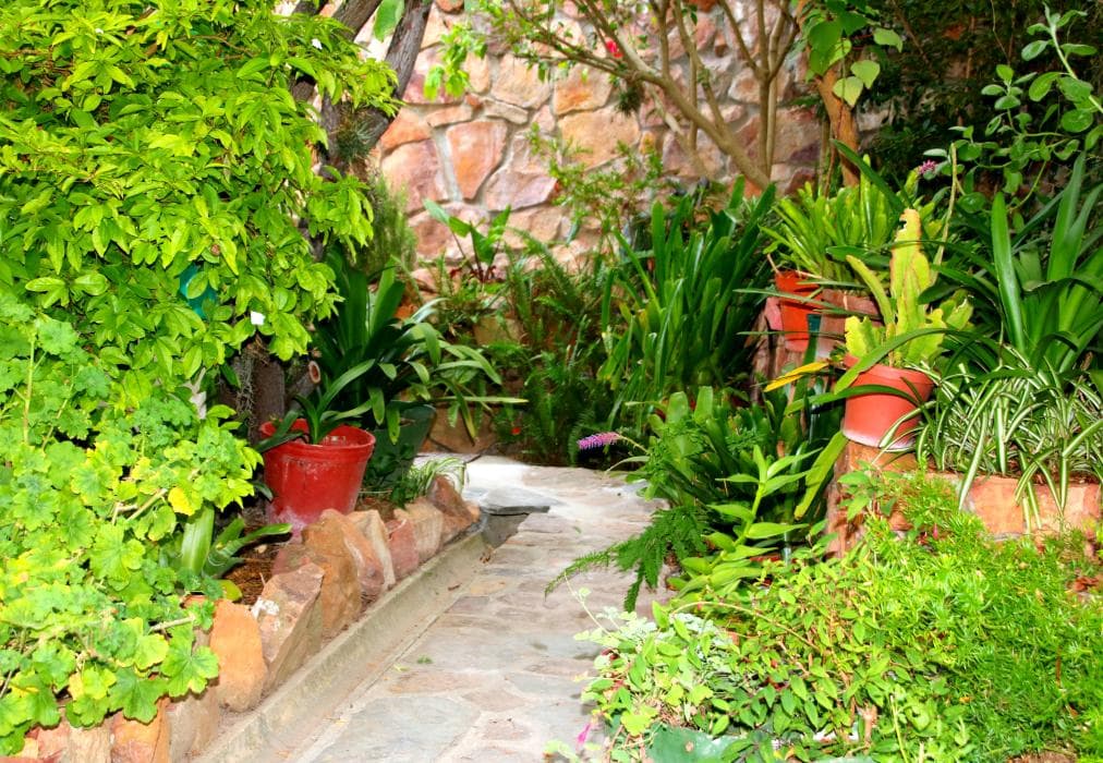 Fisherman's Watch Cottage