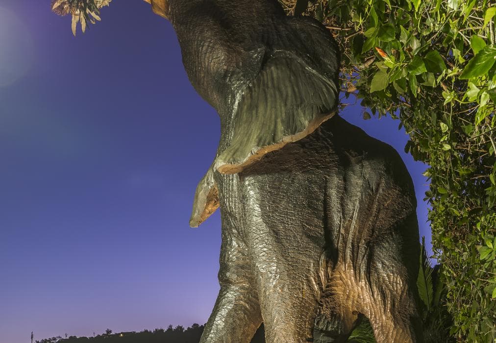 Boardwalk Lodge - B&B