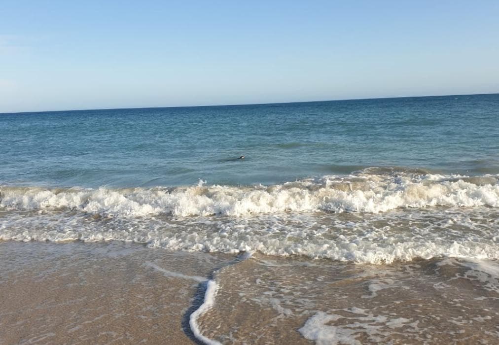 The Sparrow's Nest Beach Cottage