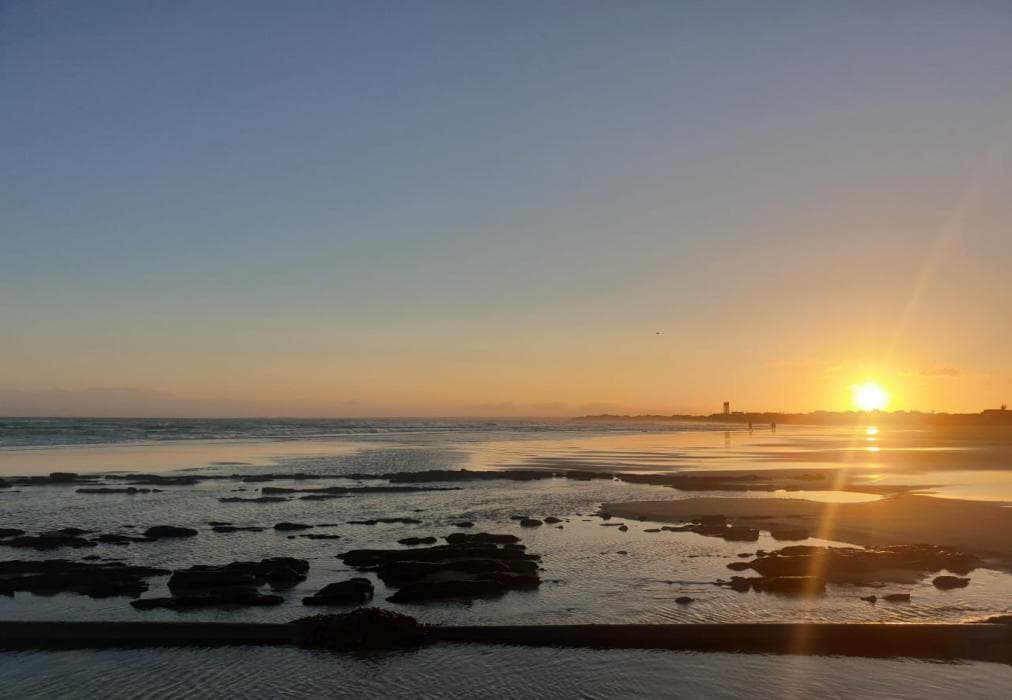 The Sparrow's Nest Beach Cottage