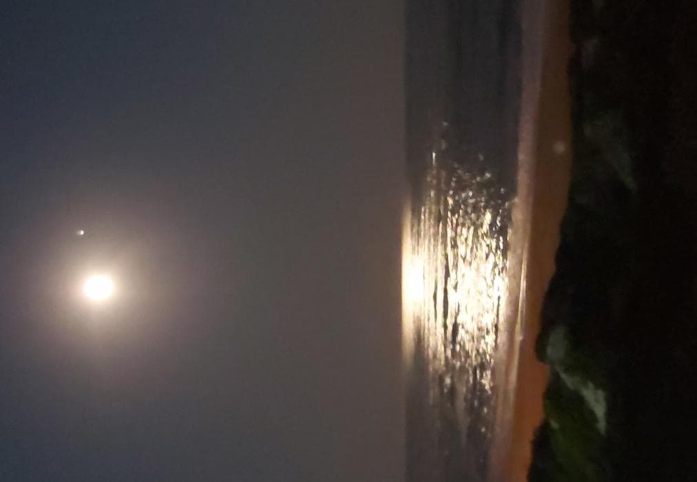 The Sparrow's Nest Beach Cottage