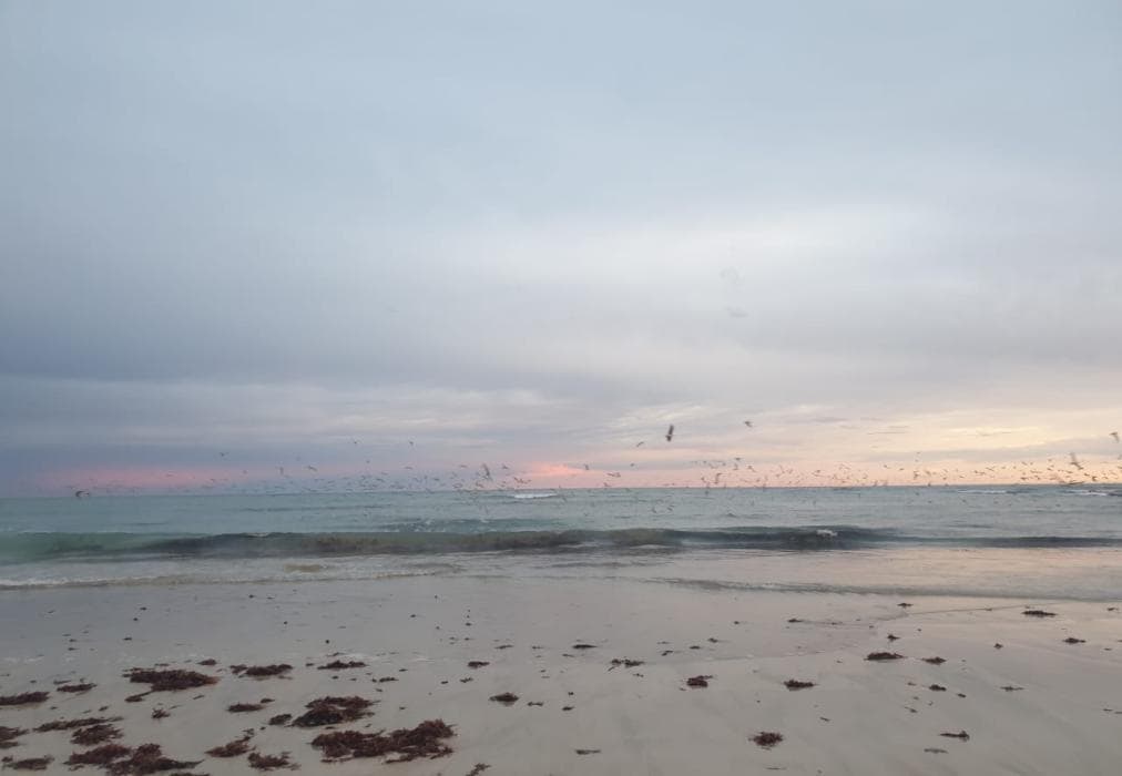 The Sparrow's Nest Beach Cottage