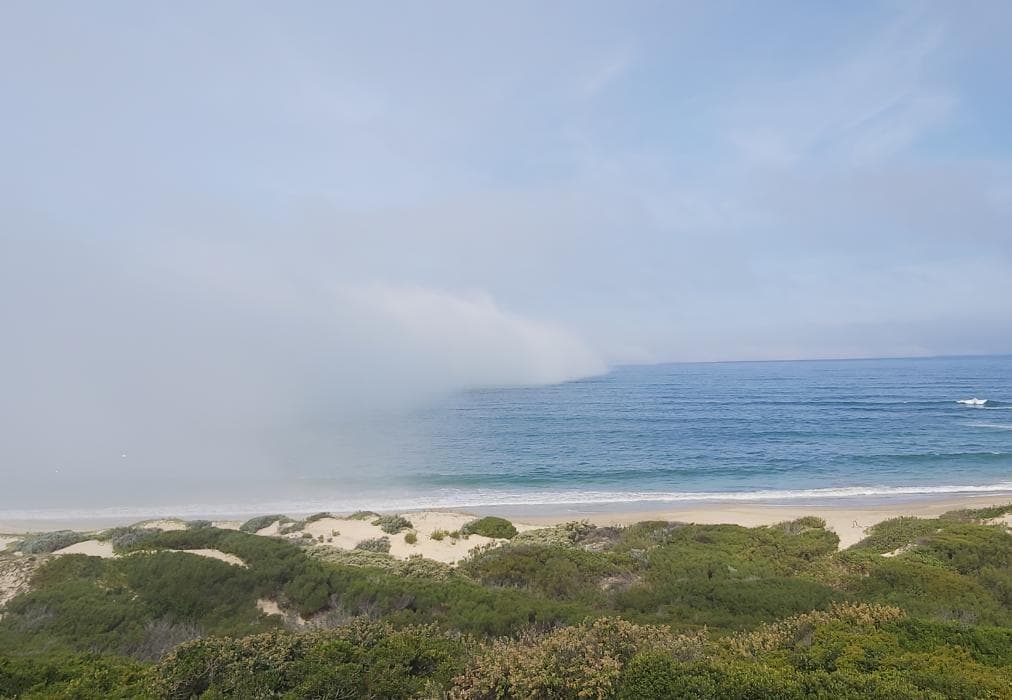 The Sparrow's Nest Beach Cottage