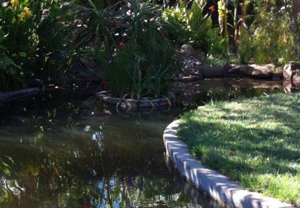 Sauvignon Country Lodge