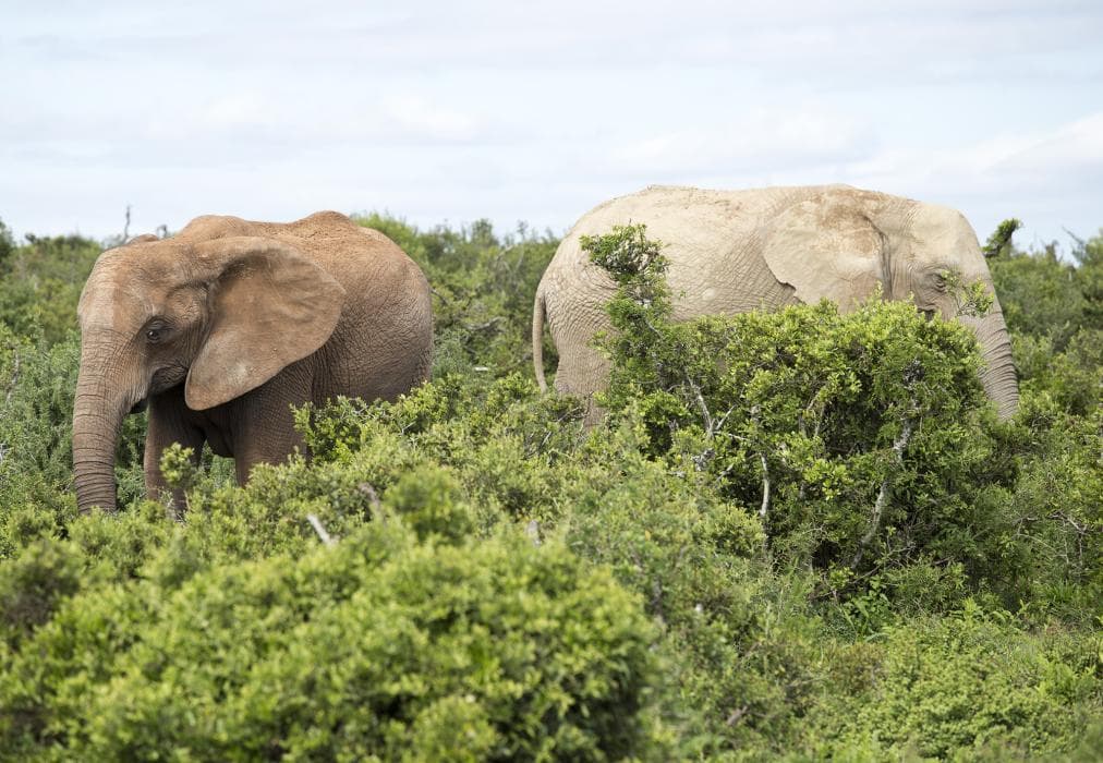 Sundays River Mouth Guesthouse