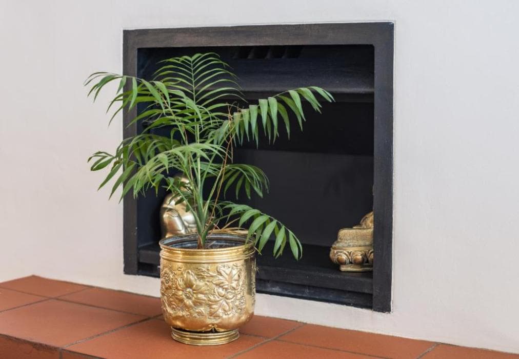 Penelope at Funkey 3B