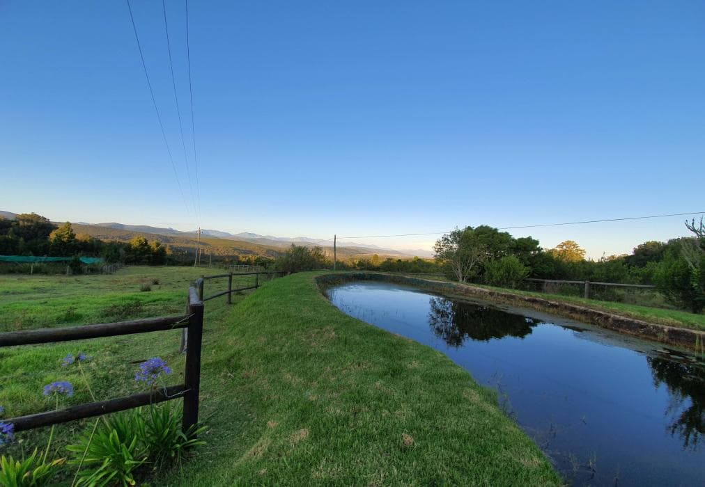 The Little Unknown, Fisanthoek