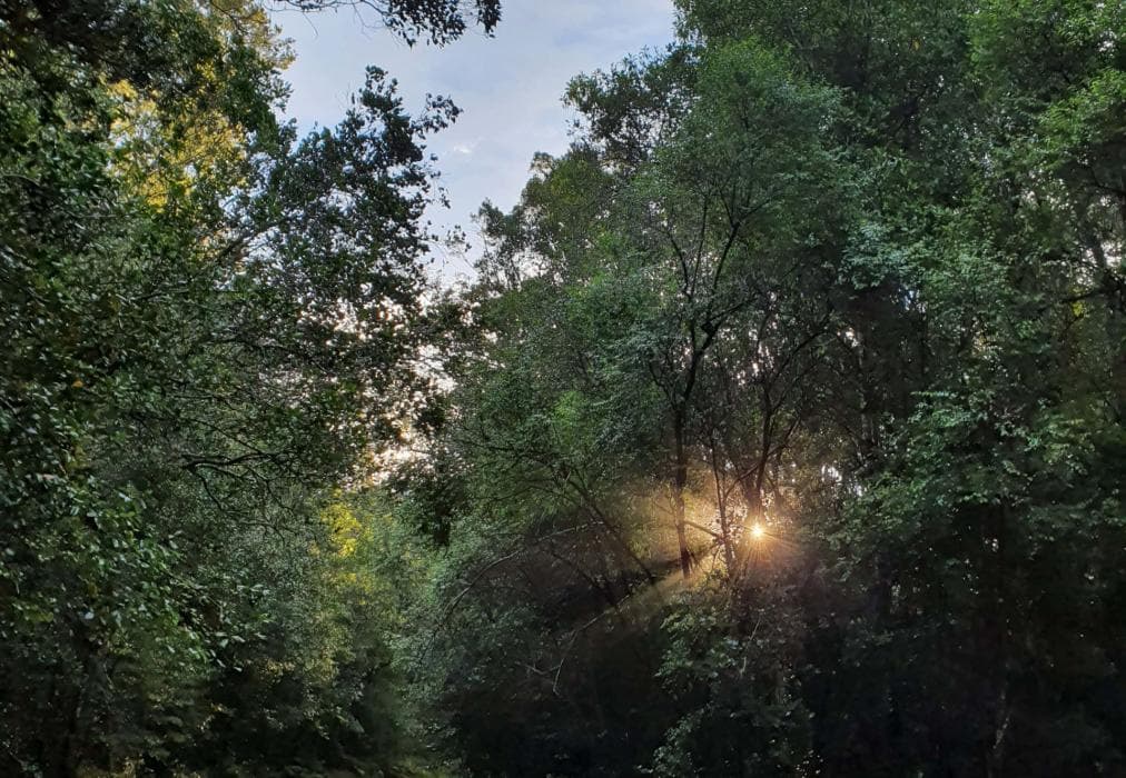 The Little Unknown, Fisanthoek