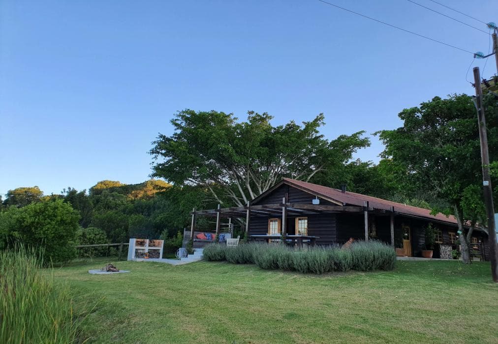 The Little Unknown, Fisanthoek