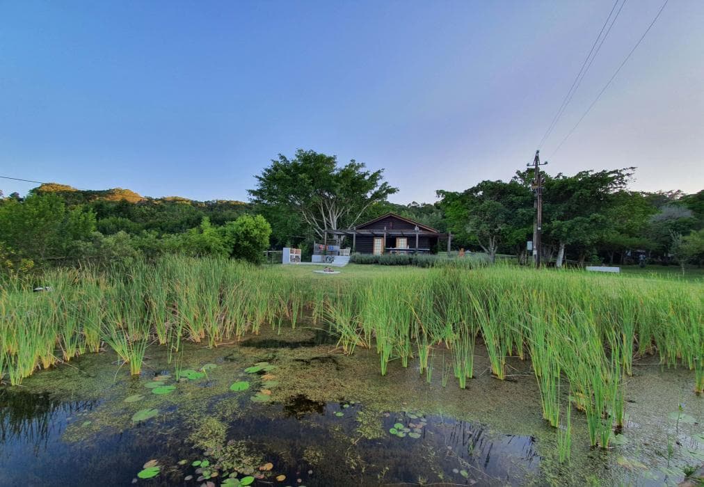 The Little Unknown, Fisanthoek