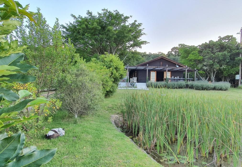 The Little Unknown, Fisanthoek