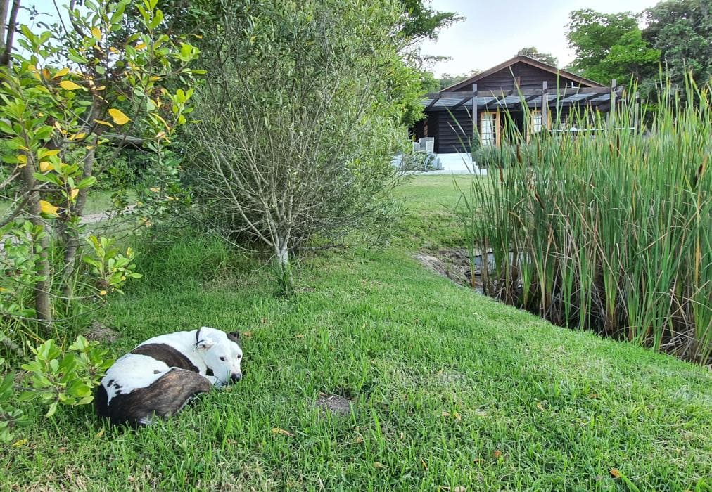 The Little Unknown, Fisanthoek