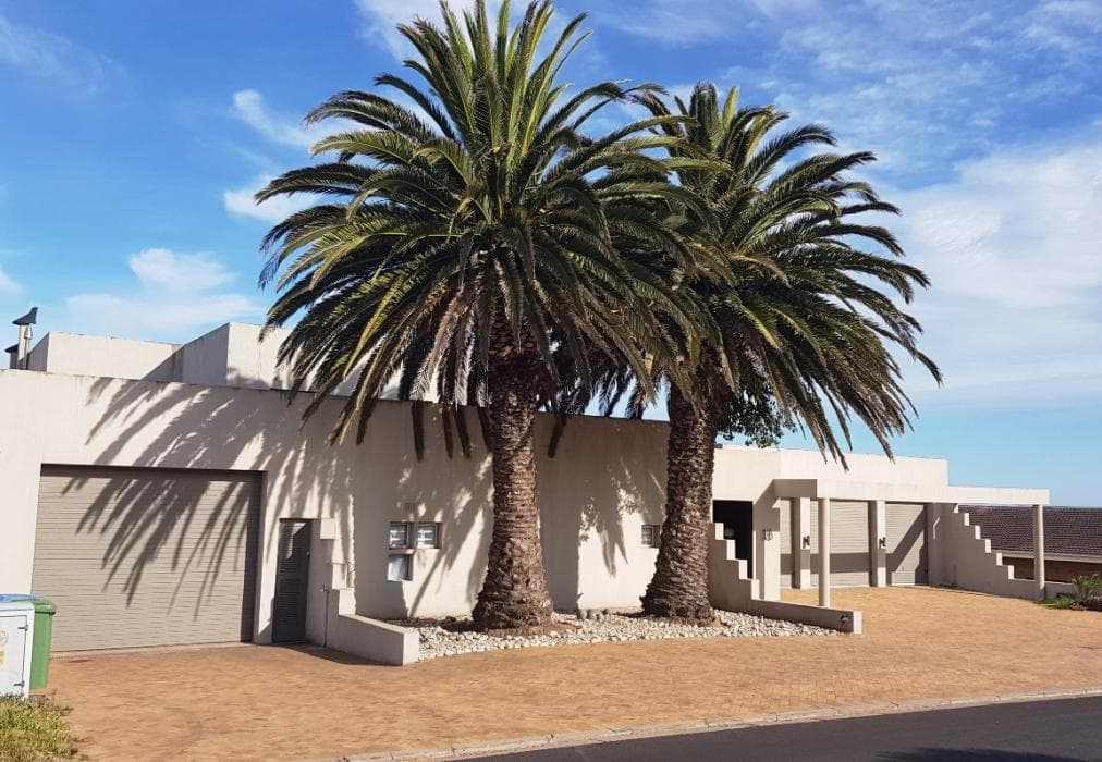 Casa Del Palmera