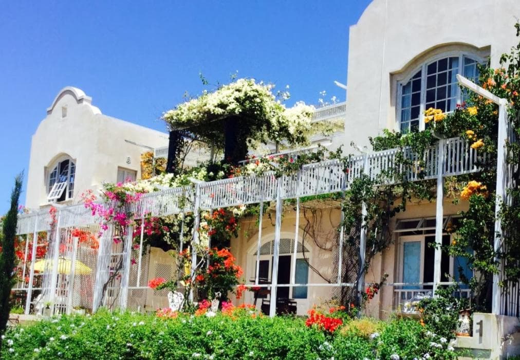 Mama Mia @ Charlotte House