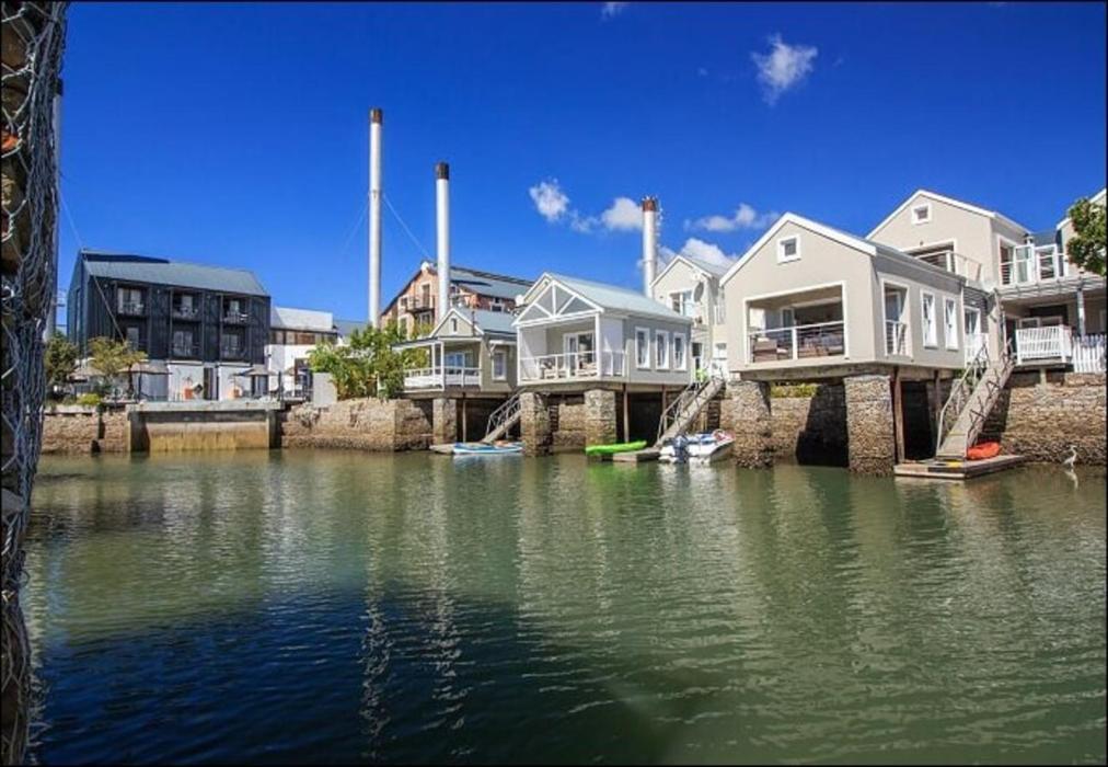 Avocet Nest on Thesen Island