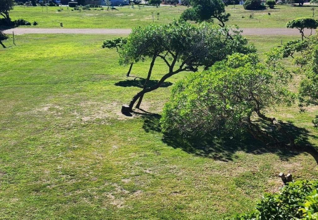 Muir Holiday Apartments