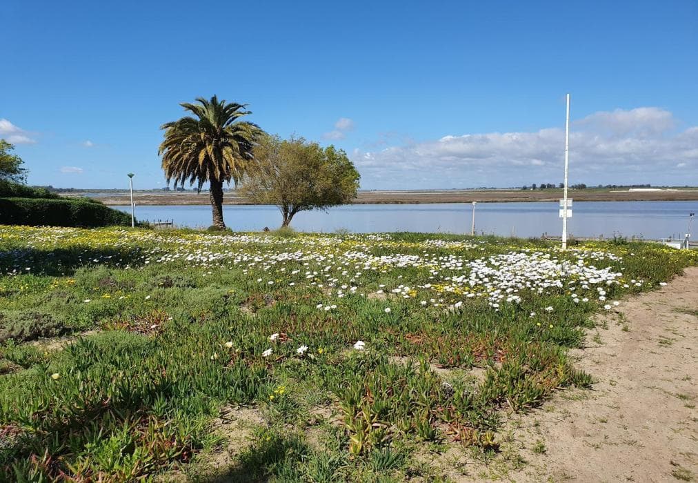 Kingfisher Heads Self Catering