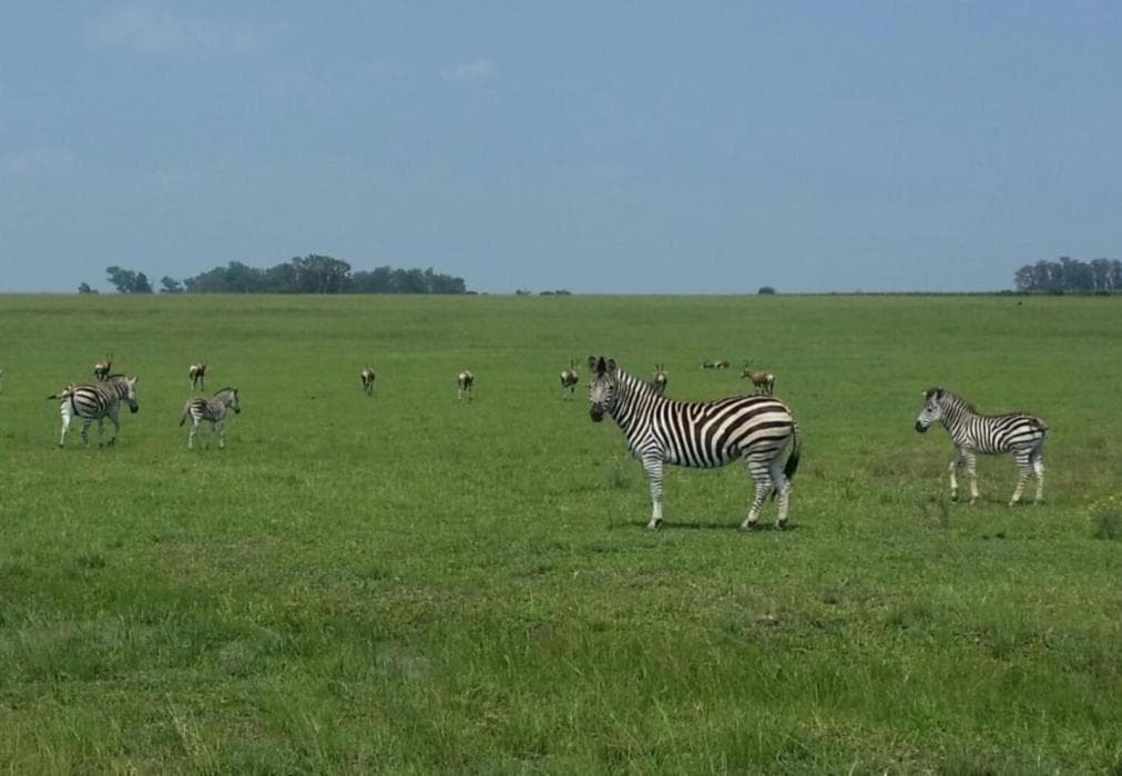 Vaal River Bush Lodge
