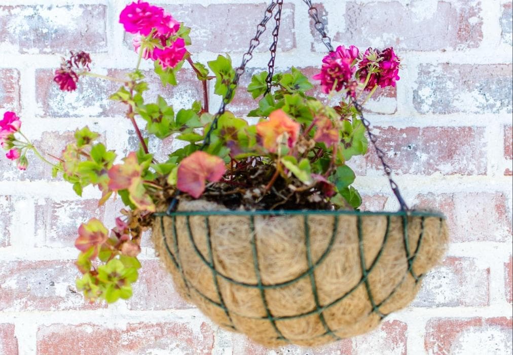 Red Bishop 1 Luxury apartment