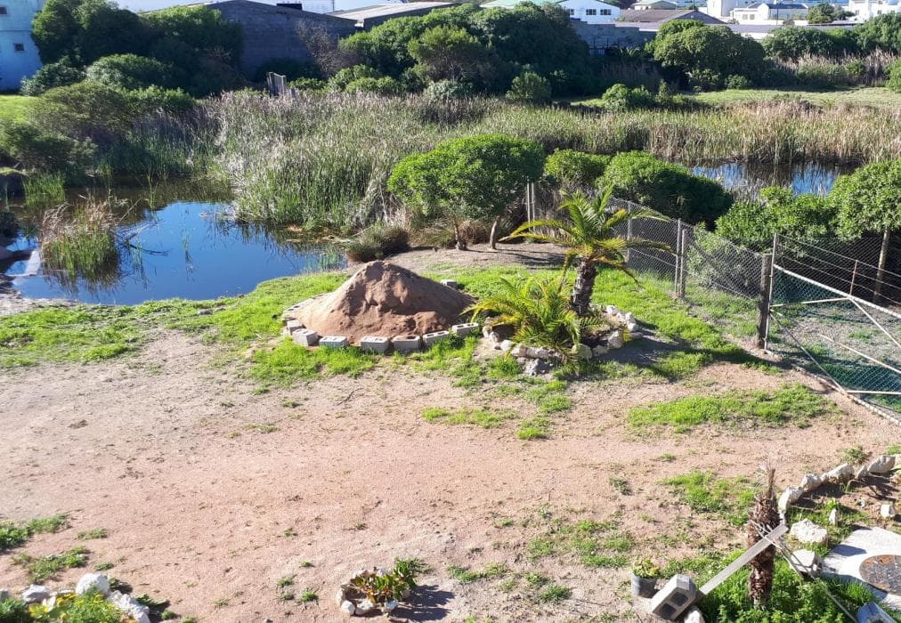 Red Bishop 3 Bachelor Luxury apartment