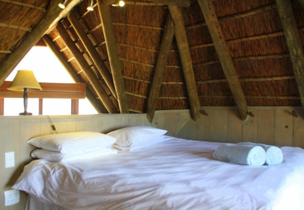 Shack On Supers Cottage