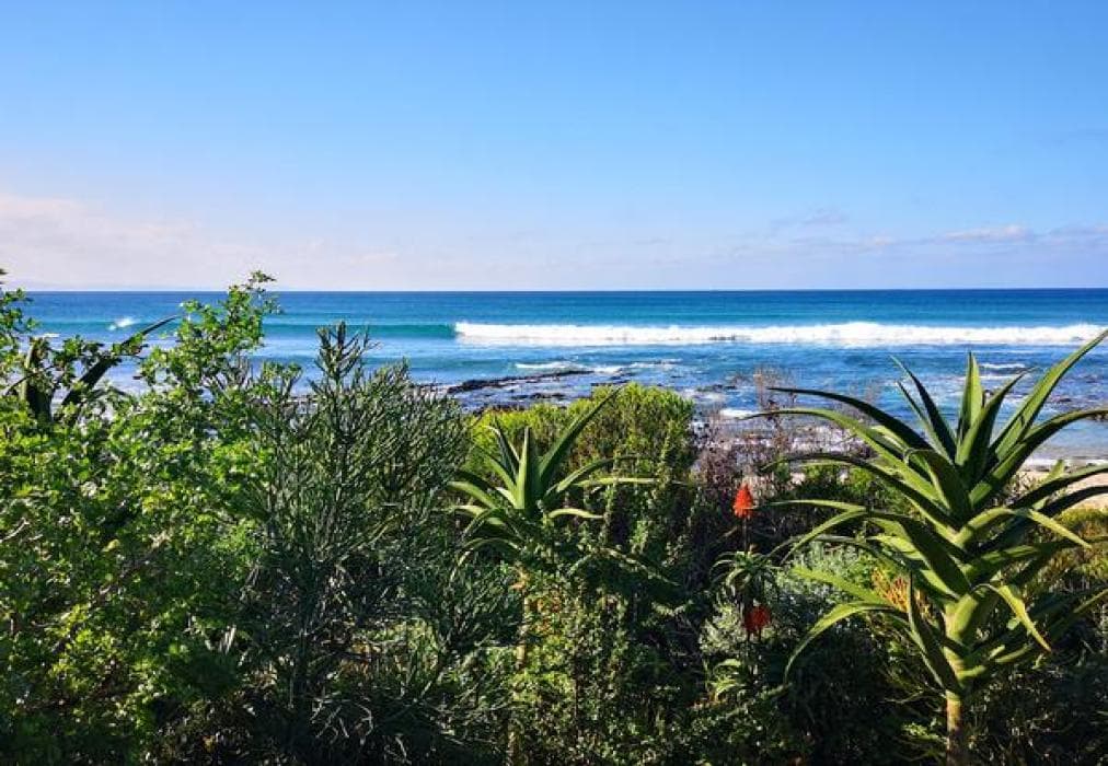 52 Albatros Apartment 1