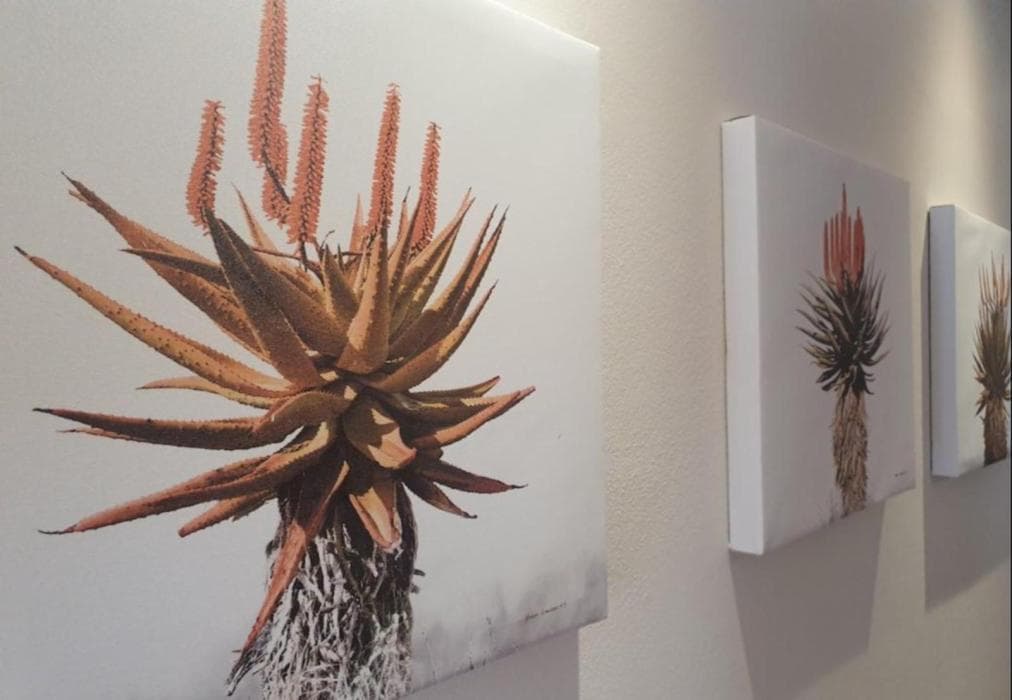 115 De Waterkant Piazza