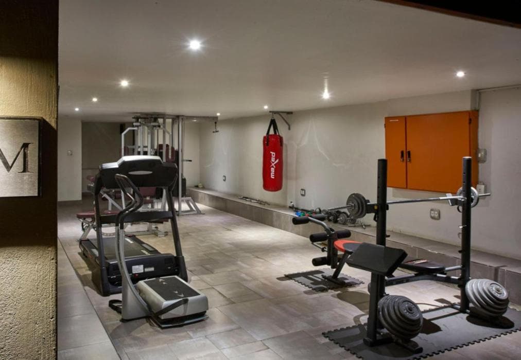 Dynasty Forest Sandown Accommodation