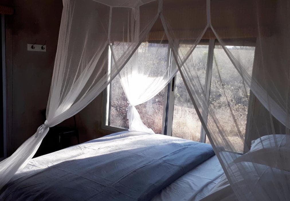 Nextdoor Kruger Lodge