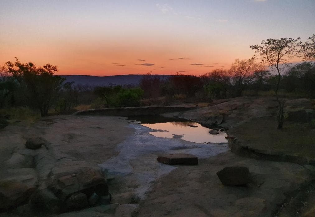 Tholo Private Game Lodge