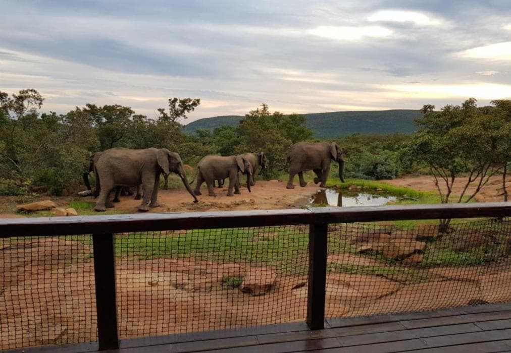 Tholo Private Game Lodge