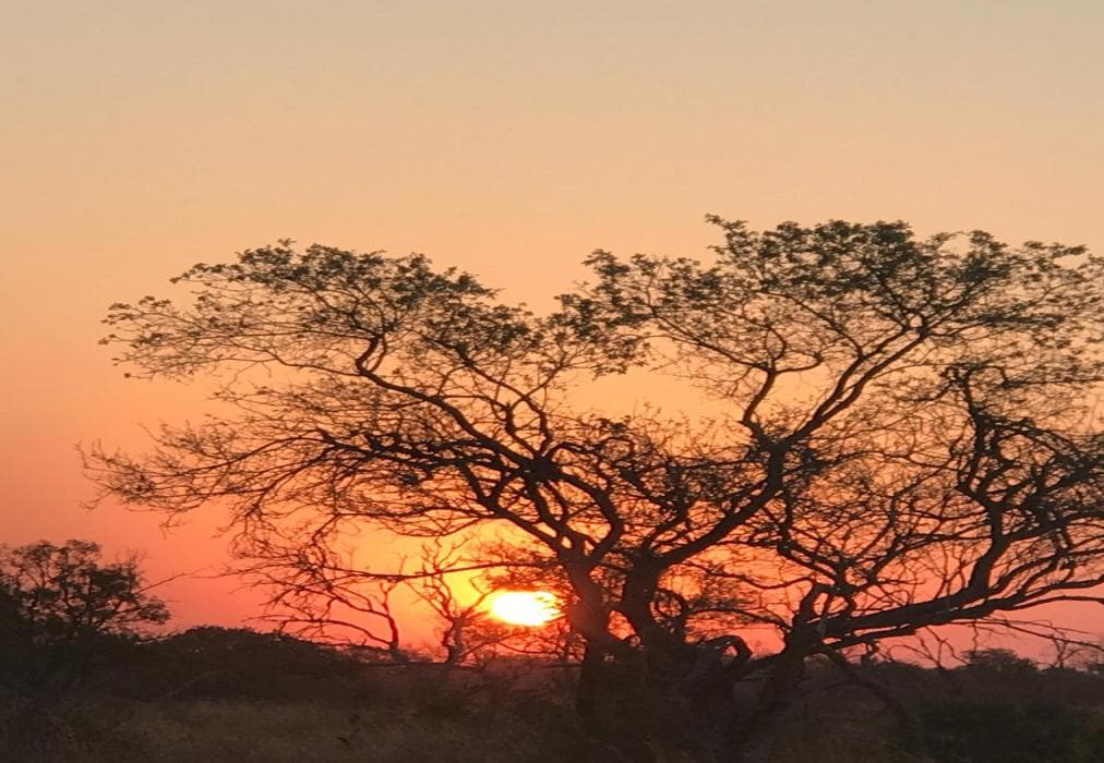 Hadeda Lodge, Mabalingwe