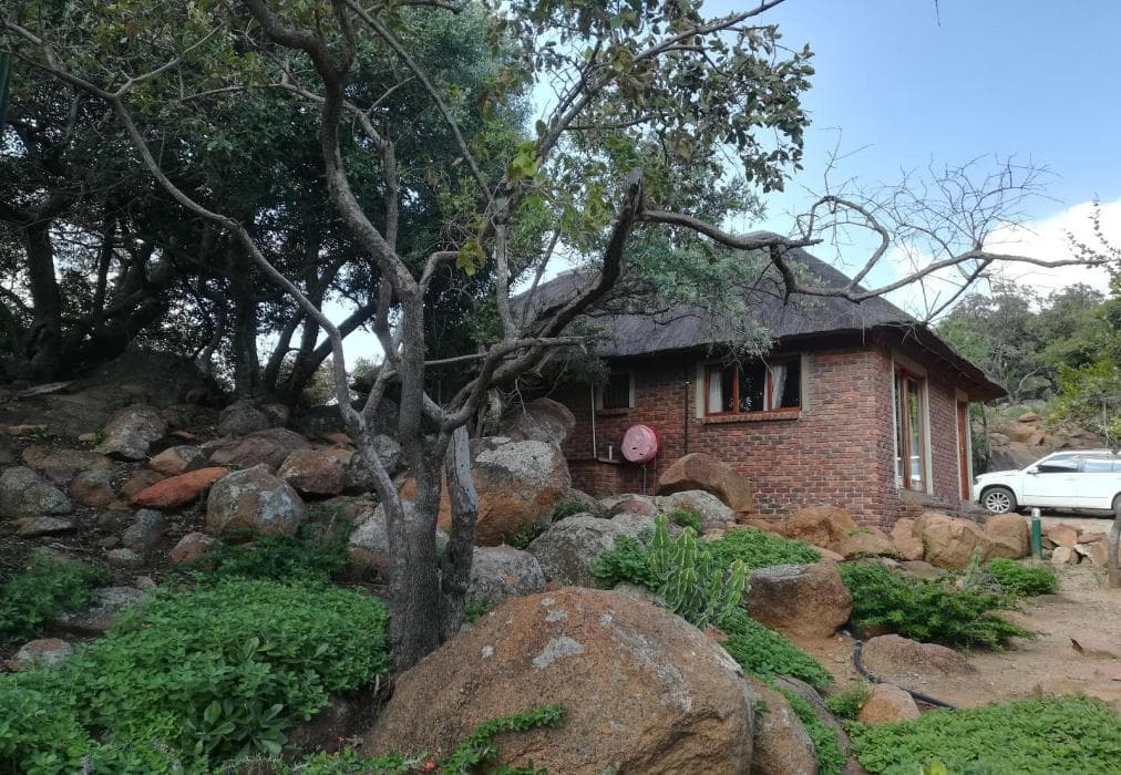 Gecko Lodge and Cottage