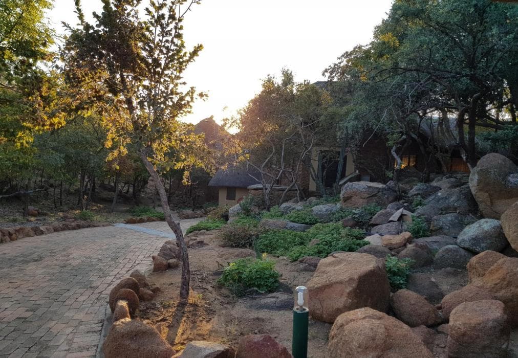 Gecko Lodge and Cottage