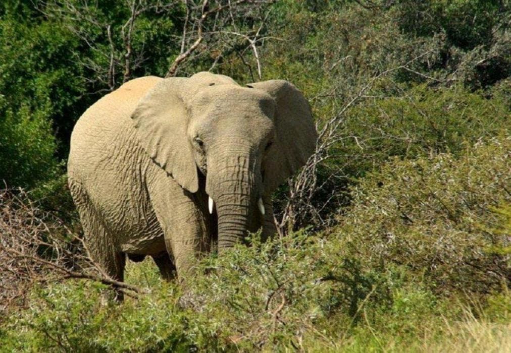 Kwalata Bush Experience