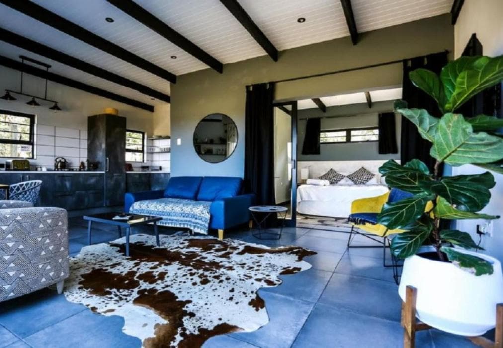 Hadada Self Catering Studio