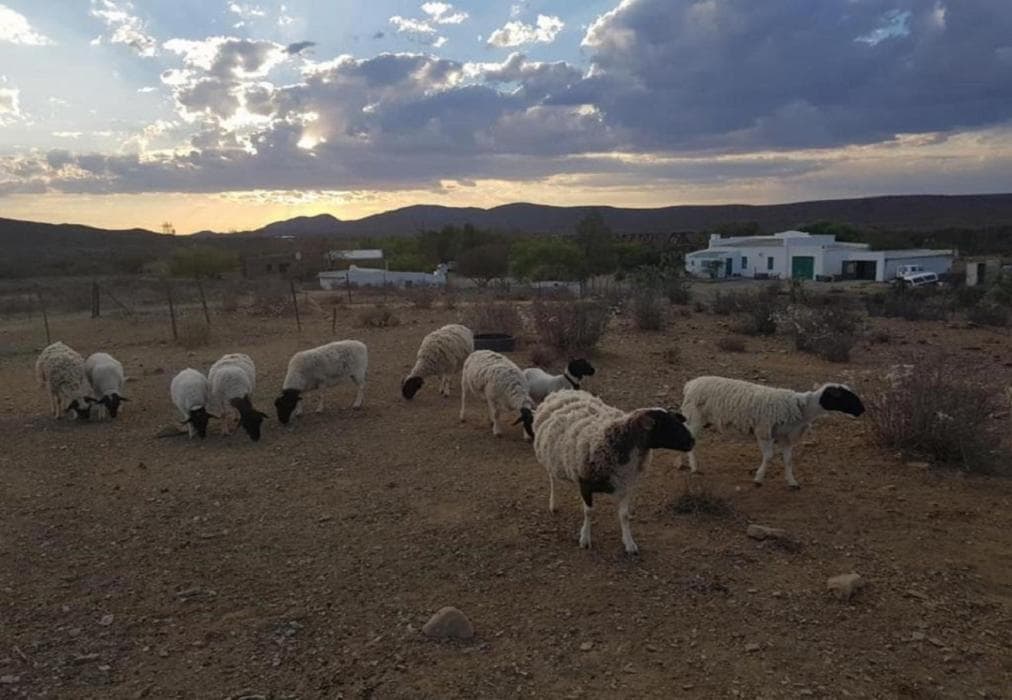 Die Blokhuis -Honeymoon Suite