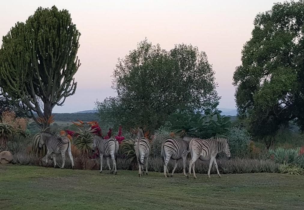 Belvedere Game Ranch