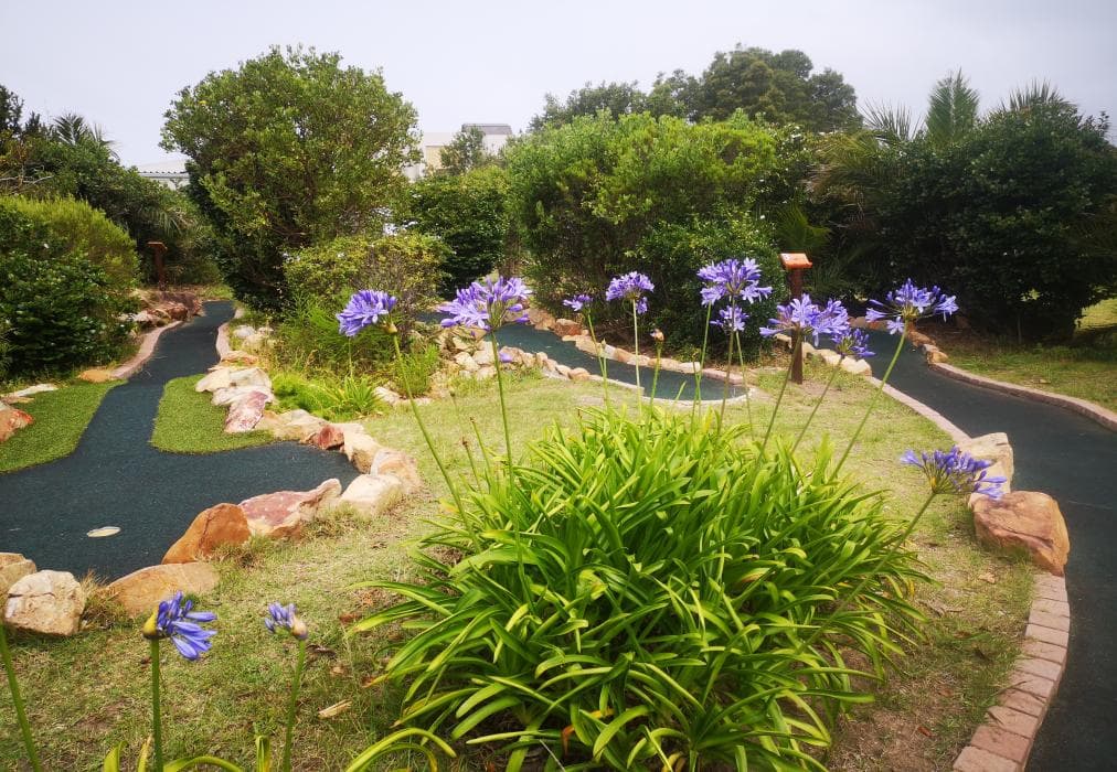 Mount Castleton Unit 66A